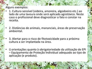 Alguns exemplos:
• 1. Cultura sensível (videira, amoreira, algodoeiro etc.) ao
lado de uma lavoura onde será aplicado agrotóxico. Neste
caso o profissional deve diagnosticar o fato e constar na
receita.
• 2. Distâncias de animais, mananciais, áreas de preservação
ambiental.
• 3. Alertar para o risco de fitotoxicidade para a próxima
cultura a ser implantada na área.
• i) orientações quanto à obrigatoriedade da utilização de EPI
– Equipamento de Proteção Individual adequado ao tipo de
aplicação (e produto).
 