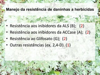 Manejo da resistência de daninhas a herbicidas
• Resistência aos inibidores da ALS (B); (2)
• Resistência aos inibidores da ACCase (A); (2)
• Resistência ao Glifosato (G); (2)
• Outras resistências (ex. 2,4-D). (1)
 