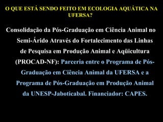 O QUE ESTÁ SENDO FEITO EM ECOLOGIA AQUÁTICA NA
UFERSA??

Consolidação da Pós-Graduação em Ciência Animal no
Semi-Árido Através do Fortalecimento das Linhas
de Pesquisa em Produção Animal e Aqüicultura
(PROCAD-NF): Parceria entre o Programa de PósGraduação em Ciência Animal da UFERSA e a
Programa de Pós-Graduação em Produção Animal
da UNESP-Jaboticabal. Financiador: CAPES.

 
