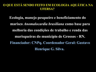 O QUE ESTÁ SENDO FEITO EM ECOLOGIA AQUÁTICA NA
UFERSA??

Ecologia, manejo pesqueiro e beneficiamento do
marisco Anomalocardia brasiliana como base para
melhoria das condições de trabalho e renda das
marisqueiras do município de Grossos - RN.
Financiador: CNPq. Coordenador Geral: Gustavo
Henrique G. Silva.

 