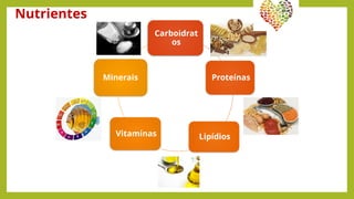 Carboidrat
os
Proteínas
Lipídios
Vitaminas
Minerais
Nutrientes
 