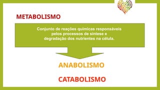 METABOLISMO
• Conjunto de reações químicas responsáveis pelos
processos de síntese e degradação dos nutrientes na
célula.
Conjunto de reações químicas responsáveis
pelos processos de síntese e
degradação dos nutrientes na célula.
ANABOLISMO
CATABOLISMO
 