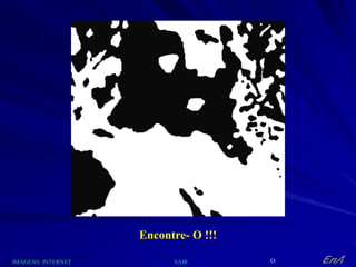 Encontre- O !!!
IMAGENS: INTERNET O:
SAIR
 