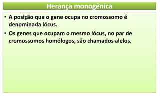 Herança monogênica
• A posição que o gene ocupa no cromossomo é
denominada lócus.
• Os genes que ocupam o mesmo lócus, no par de
cromossomos homólogos, são chamados alelos.
 