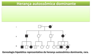 Herança autossômica dominante
Genealogia hipotética representativa da herança autossômica dominante, rara.
 