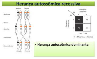 Herança autossômica recessiva
• Herança autossômica dominante
 