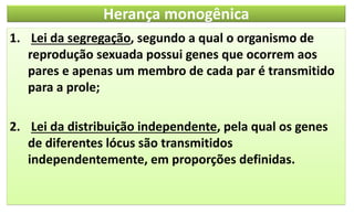 Herança monogênica
1. Lei da segregação, segundo a qual o organismo de
reprodução sexuada possui genes que ocorrem aos
pares e apenas um membro de cada par é transmitido
para a prole;
2. Lei da distribuição independente, pela qual os genes
de diferentes lócus são transmitidos
independentemente, em proporções definidas.
 