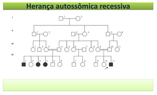 Herança autossômica recessiva
 