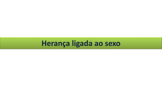 Herança ligada ao sexo
 