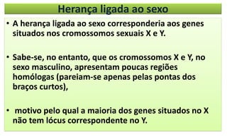 Herança ligada ao sexo
• A herança ligada ao sexo corresponderia aos genes
situados nos cromossomos sexuais X e Y.
• Sabe-se, no entanto, que os cromossomos X e Y, no
sexo masculino, apresentam poucas regiões
homólogas (pareiam-se apenas pelas pontas dos
braços curtos),
• motivo pelo qual a maioria dos genes situados no X
não tem lócus correspondente no Y.
 