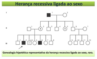 Herança recessiva ligada ao sexo
Genealogia hipotética representativa da herança recessiva ligada ao sexo, rara.
 