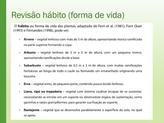Revisão hábito (forma de vida)
 