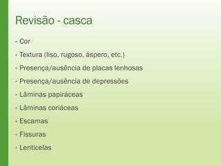 Revisão - casca
• Cor
• Textura (liso, rugoso, áspero, etc.)
• Presença/ausência de placas lenhosas
• Presença/ausência de depressões
• Lâminas papiráceas
• Lâminas coriáceas
• Escamas
• Fissuras
• Lenticelas
 
