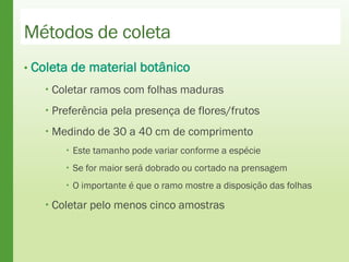 Métodos de coleta
• Coleta de material botânico
 Coletar ramos com folhas maduras
 Preferência pela presença de flores/frutos
 Medindo de 30 a 40 cm de comprimento
 Este tamanho pode variar conforme a espécie
 Se for maior será dobrado ou cortado na prensagem
 O importante é que o ramo mostre a disposição das folhas
 Coletar pelo menos cinco amostras
 