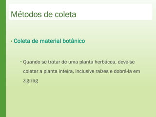Métodos de coleta
• Coleta de material botânico
 Quando se tratar de uma planta herbácea, deve-se
coletar a planta inteira, inclusive raízes e dobrá-la em
zig-zag
 