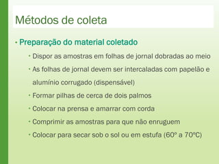 Métodos de coleta
• Preparação do material coletado
 Dispor as amostras em folhas de jornal dobradas ao meio
 As folhas de jornal devem ser intercaladas com papelão e
alumínio corrugado (dispensável)
 Formar pilhas de cerca de dois palmos
 Colocar na prensa e amarrar com corda
 Comprimir as amostras para que não enruguem
 Colocar para secar sob o sol ou em estufa (60º a 70ºC)
 