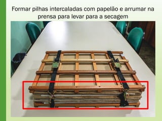 Formar pilhas intercaladas com papelão e arrumar na
prensa para levar para a secagem
 