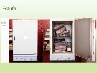 Estufa
 