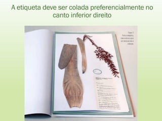 A etiqueta deve ser colada preferencialmente no
canto inferior direito
 