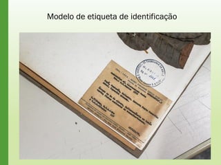 Modelo de etiqueta de identificação
 