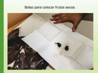 Bolso para colocar frutos secos
 