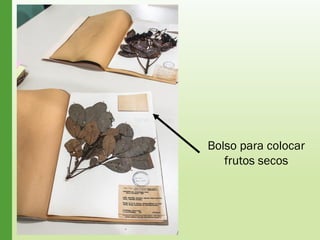 Bolso para colocar
frutos secos
 