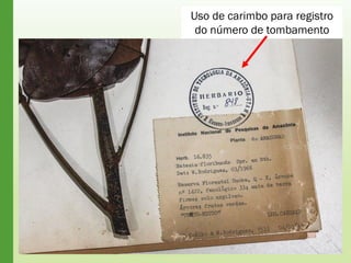 Uso de carimbo para registro
do número de tombamento
 