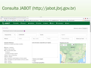 Consulta JABOT (http://jabot.jbrj.gov.br)
 