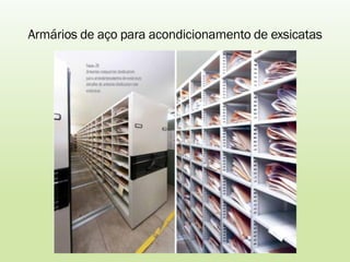 Armários de aço para acondicionamento de exsicatas
 