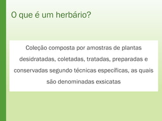 O que é um herbário?
Coleção composta por amostras de plantas
desidratadas, coletadas, tratadas, preparadas e
conservadas segundo técnicas específicas, as quais
são denominadas exsicatas
 