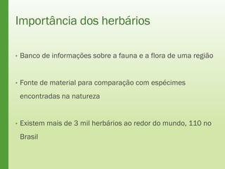 Importância dos herbários
• Banco de informações sobre a fauna e a flora de uma região
• Fonte de material para comparação com espécimes
encontradas na natureza
• Existem mais de 3 mil herbários ao redor do mundo, 110 no
Brasil
 
