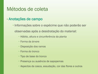 Métodos de coleta
• Anotações de campo
 Informações sobre o espécime que não poderão ser
observadas após a desidratação do material:
 Hábito, altura e circunferência da planta
 Forma da árvore
 Disposição dos ramos
 Forma do tronco
 Tipo de base do tronco
 Presença ou ausência de sapopemas
 Aspectos da casca, exsudação, cor das flores e outros
 