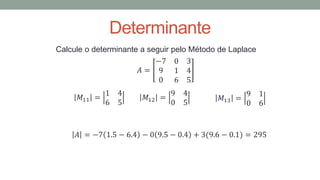 Determinante
Calcule o determinante a seguir pelo Método de Laplace
𝐴 = −7 1.5 − 6.4 − 0 9.5 − 0.4 + 3(9.6 − 0.1) = 295
𝑀11 =
1 4
6 5
𝐴 =
−7 0 3
9 1 4
0 6 5
𝑀12 =
9 4
0 5
𝑀13 =
9 1
0 6
 