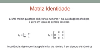 Matriz Identidade
É uma matriz quadrada com vários números 1 na sua diagonal principal,
e zero em todas as demais posições
𝐼2 =
1 0
0 1
𝐼3 =
1 0 0
0 1 0
0 0 1
Importância: desempenha papel similar ao número 1 em álgebra de números
 