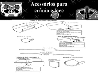 Acessórios para
crânio e face
 