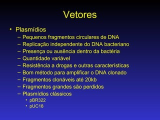 Vetores Plasmídios Pequenos fragmentos circulares de DNA Replicação independente do DNA bacteriano Presença ou ausência dentro da bactéria Quantidade variável Resistência a drogas e outras características Bom método para amplificar o DNA clonado Fragmentos clonáveis até 20kb Fragmentos grandes são perdidos Plasmídios clássicos pBR322 pUC18 