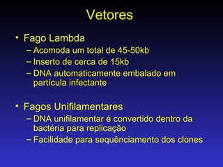 Vetores Fago Lambda Acomoda um total de 45-50kb Inserto de cerca de 15kb DNA automaticamente embalado em partícula infectante Fagos Unifilamentares DNA unifilamentar é convertido dentro da bactéria para replicação Facilidade para sequênciamento dos clones 