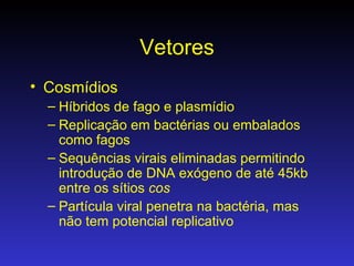 Vetores Cosmídios Híbridos de fago e plasmídio Replicação em bactérias ou embalados como fagos Sequências virais eliminadas permitindo introdução de DNA exógeno de até 45kb entre os sítios  cos Partícula viral penetra na bactéria, mas não tem potencial replicativo 
