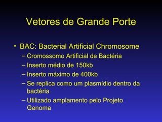 Vetores de Grande Porte BAC: Bacterial Artificial Chromosome Cromossomo Artificial de Bactéria Inserto médio de 150kb Inserto máximo de 400kb Se replica como um plasmídio dentro da bactéria Utilizado amplamento pelo Projeto Genoma 