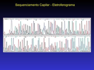 Sequenciamento Capilar - Eletroferograma 