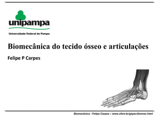 Biomecânica - Felipe Carpes – www.ufsm.br/gepec/biomec.html
Felipe P Carpes
Biomecânica do tecido ósseo e articulações
 