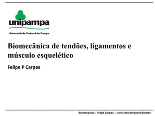 Biomecânica - Felipe Carpes – www.ufsm.br/gepec/biomec
Felipe P Carpes
Biomecânica de tendões, ligamentos e
músculo esquelético
 