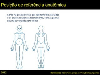 Corpo na posição ereta, pés ligeiramente afastados
e os braços suspensos lateralmente, com as palmas
das mãos voltadas para frente
Biomecânica - http://sites.google.com/site/biomecunipampa
Posição de referência anatômica
2012
 