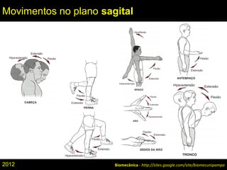 Biomecânica - http://sites.google.com/site/biomecunipampa
Movimentos no plano sagital
2012
 