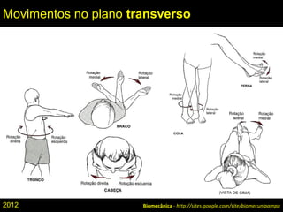 Biomecânica - http://sites.google.com/site/biomecunipampa
Movimentos no plano transverso
2012
 