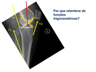 Por que relembrar de
funções
trigonométricas?
Fg
Fh
Facl
Fpcl
Fpt
Ftf
 