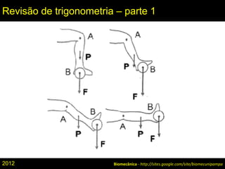 Biomecânica - http://sites.google.com/site/biomecunipampa
Revisão de trigonometria – parte 1
2012
 