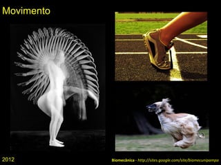 Biomecânica - http://sites.google.com/site/biomecunipampa
Movimento
2012
 