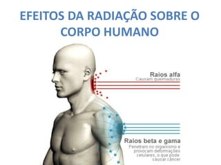 EFEITOS DA RADIAÇÃO SOBRE O
CORPO HUMANO
 
