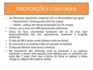 • Os diferentes segmentos corporais não se desenvolvem por igual:
– Nascimiento: crânio grande (25% do corpo);
– Adulto: cabeça em menor proporção (12.5% corpo);
• Crânio: aos 6 anos tem 90% do tamanho definitivo;
• Ossos da face: crecimento constante até os 20 anos (por
desenvolvimento das vias respiratorias, maxilares e erupção
dentaria);
• O colo do RN é muito curto (cabeça unida ao tórax);
• As clavículas e as costelas estão em posição horizontal;
• O tórax do RN tem uma forma cilíndrica.
• No transcorrer dos primeros anos as clavículas e as costelas
começam a tomar uma posição mais obliqua que se completa por
volta dos 7 anos. Com isso a forma do tórax se aplana, o tórax
alarga-se, adquirindo aspecto adulto.
PROPORÇÕES CORPORAIS
 